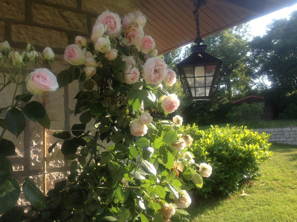 Domaine De La Greze Hotel Murat Kültér fotó