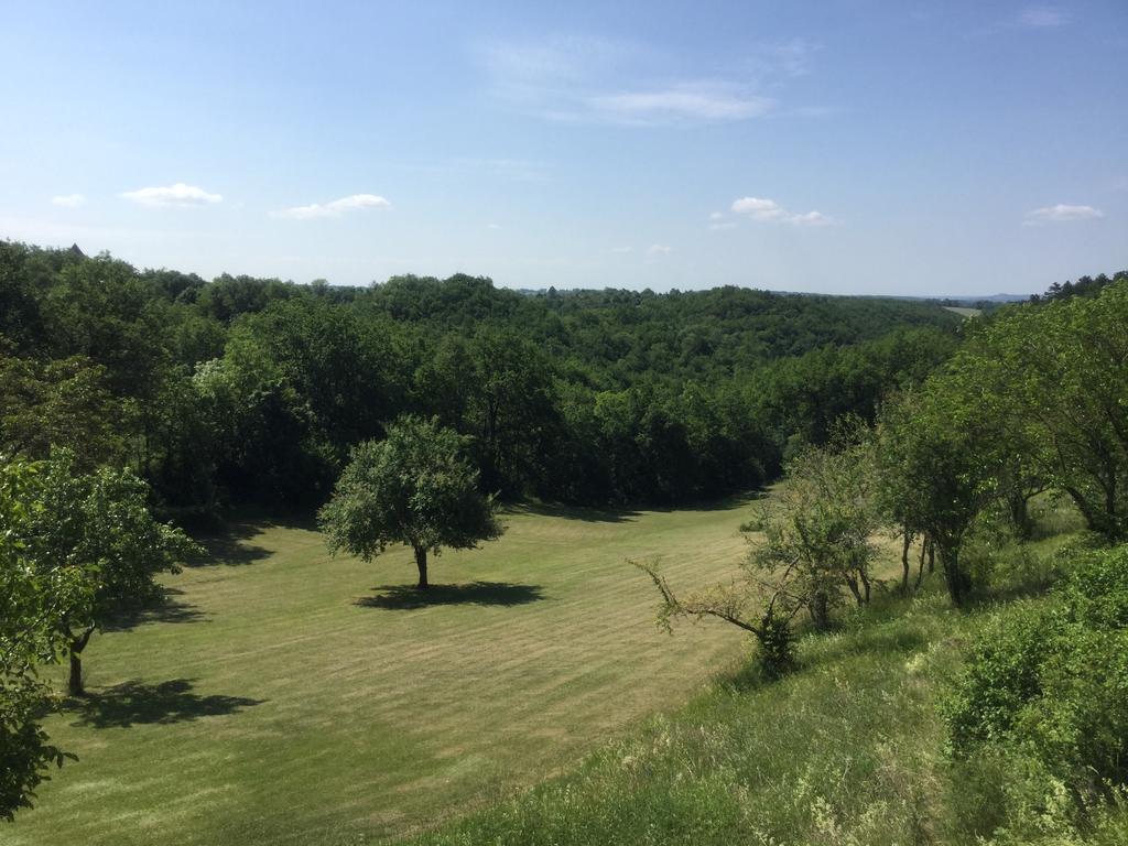 Domaine De La Greze Hotel Murat Kültér fotó