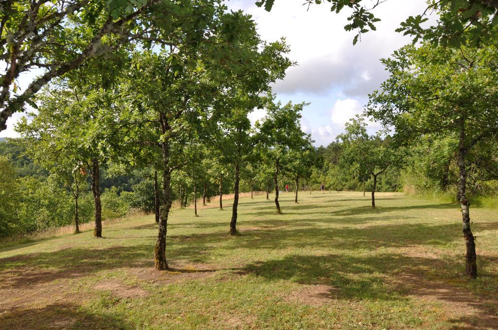 Domaine De La Greze Hotel Murat Kültér fotó